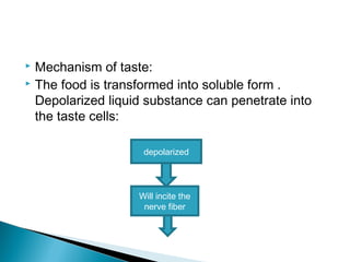  Mechanism of taste:
 The food is transformed into soluble form .
Depolarized liquid substance can penetrate into
the taste cells:
depolarized
Will incite the
nerve fiber
 