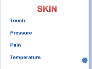 SKINTouchPressurePainTemperature