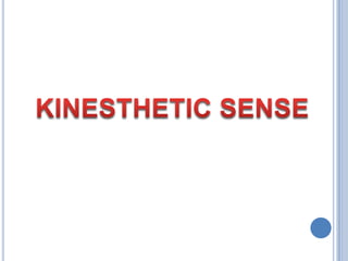 KINESTHETIC SENSE