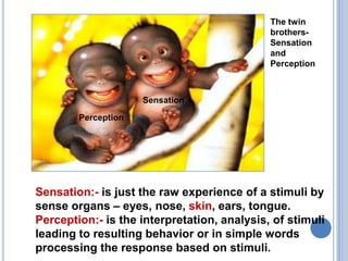The twin brothers-Sensation and Perception SensationPerceptionSensation:- is just the raw experience of a stimuli by sense organs – eyes, nose, skin, ears, tongue.Perception:-is the interpretation, analysis, of stimuli leading to resulting behavior or in simple words processing the response based on stimuli.