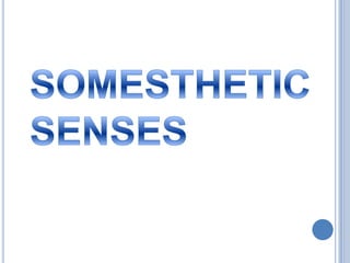 SOMESTHETIC SENSES