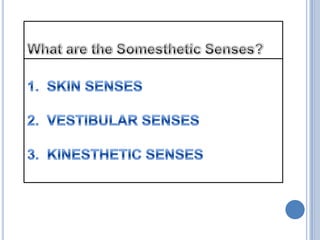 What are the Somesthetic Senses?1.  SKIN SENSES2.  VESTIBULAR SENSES3.  KINESTHETIC SENSES