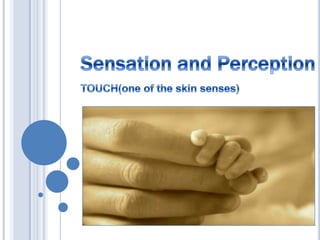 Sensation and Perception TOUCH(one of the skin senses) 