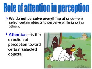 Sensation and perception | PPT