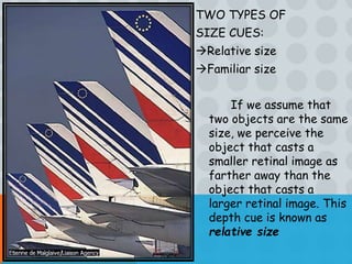 Relative Size Ap Psych Example Sensation and Perception (psychology) | PPTX