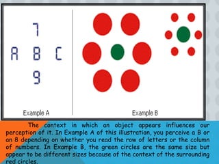 Object Perception Example Sensation and Perception (psychology) | PPTX