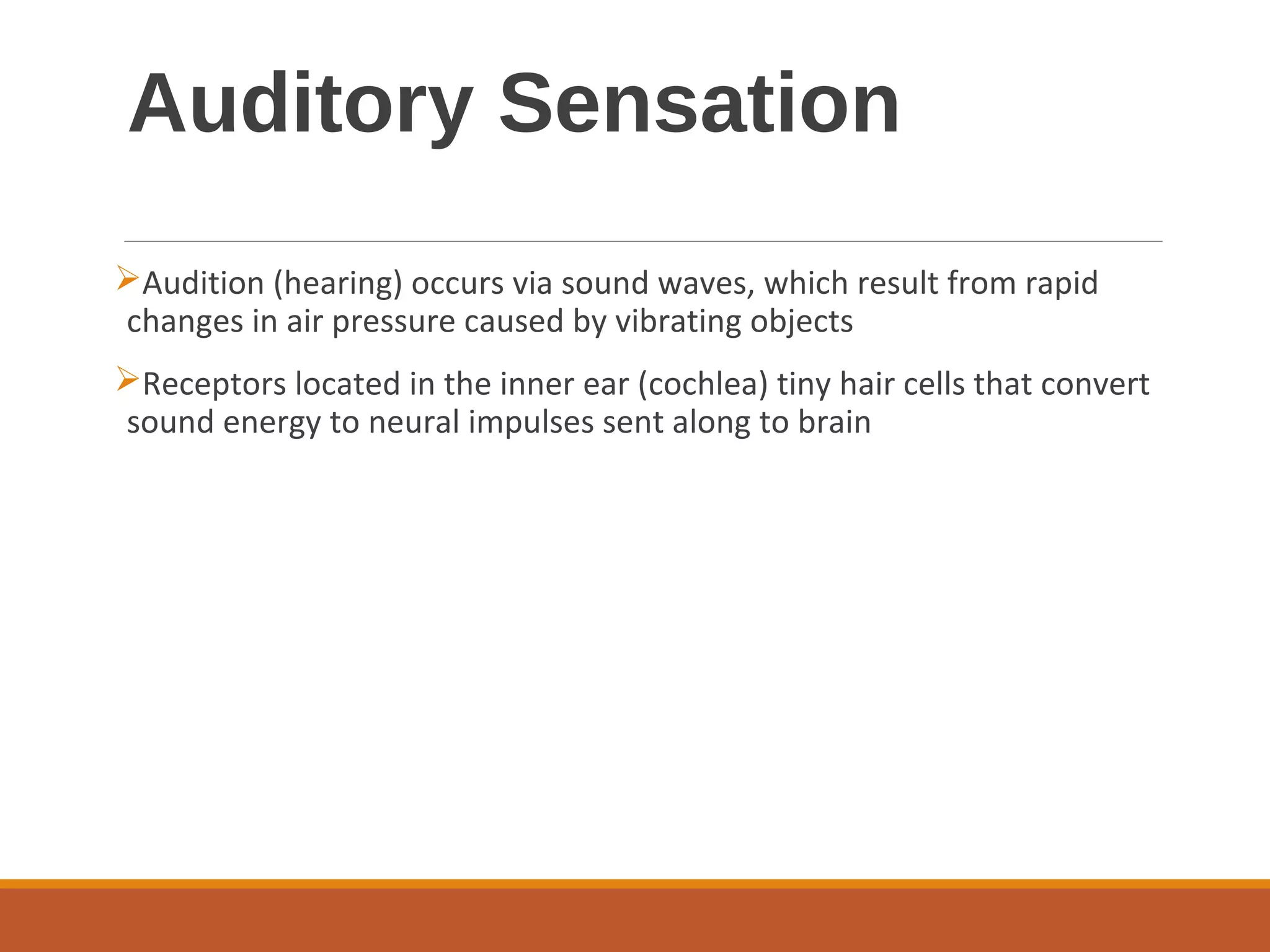 Auditory Sensation
Audition (hearing) occurs via sound waves, which result from rapid
changes in air pressure caused by vibrating objects
Receptors located in the inner ear (cochlea) tiny hair cells that convert
sound energy to neural impulses sent along to brain
 