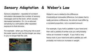 Sensory Adaptation & Weber’s Law
Sensory adaptation - repeated of constant
stimulation decreases the number of sensory
messages sent to the brain, which causes
decreased sensation. Or, it is a reduced
sensitivity to a stimulation after repeated
exposure to that stimulus.
For example - when you first jump into a pool
the water seems cold, but the longer you stay
in you no longer feel the cold.
Weber's Law is related to the difference
threshold/just noticeable difference, but states that to
really perceive a difference, the stimuli must differ by
a constant proportion, not a constant amount.
For example, if you hold a pebble in your hand and
then add a pebble of similar size you will probably
notice an increase in weight. If you hold a very
heavy rock in your hand and add a pebble you will
probably not notice an increase in weight.
 
