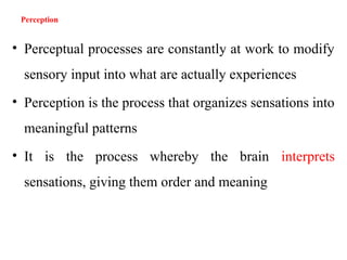 Perseptive Processes Sensation and perception psychlogy.pptx