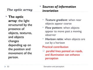 Light Perception Array Sensation and perception | PPT