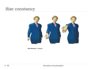 Size constancy
Sensation and perception69
 