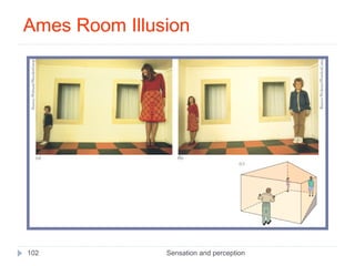 Sensation and perception102
Ames Room Illusion
 