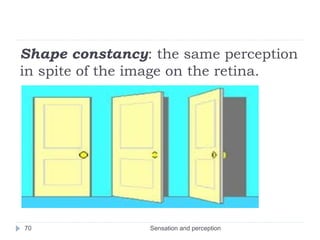 Shape constancy: the same perception
in spite of the image on the retina.
Sensation and perception70
 