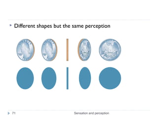  Different shapes but the same perception
Sensation and perception71
 