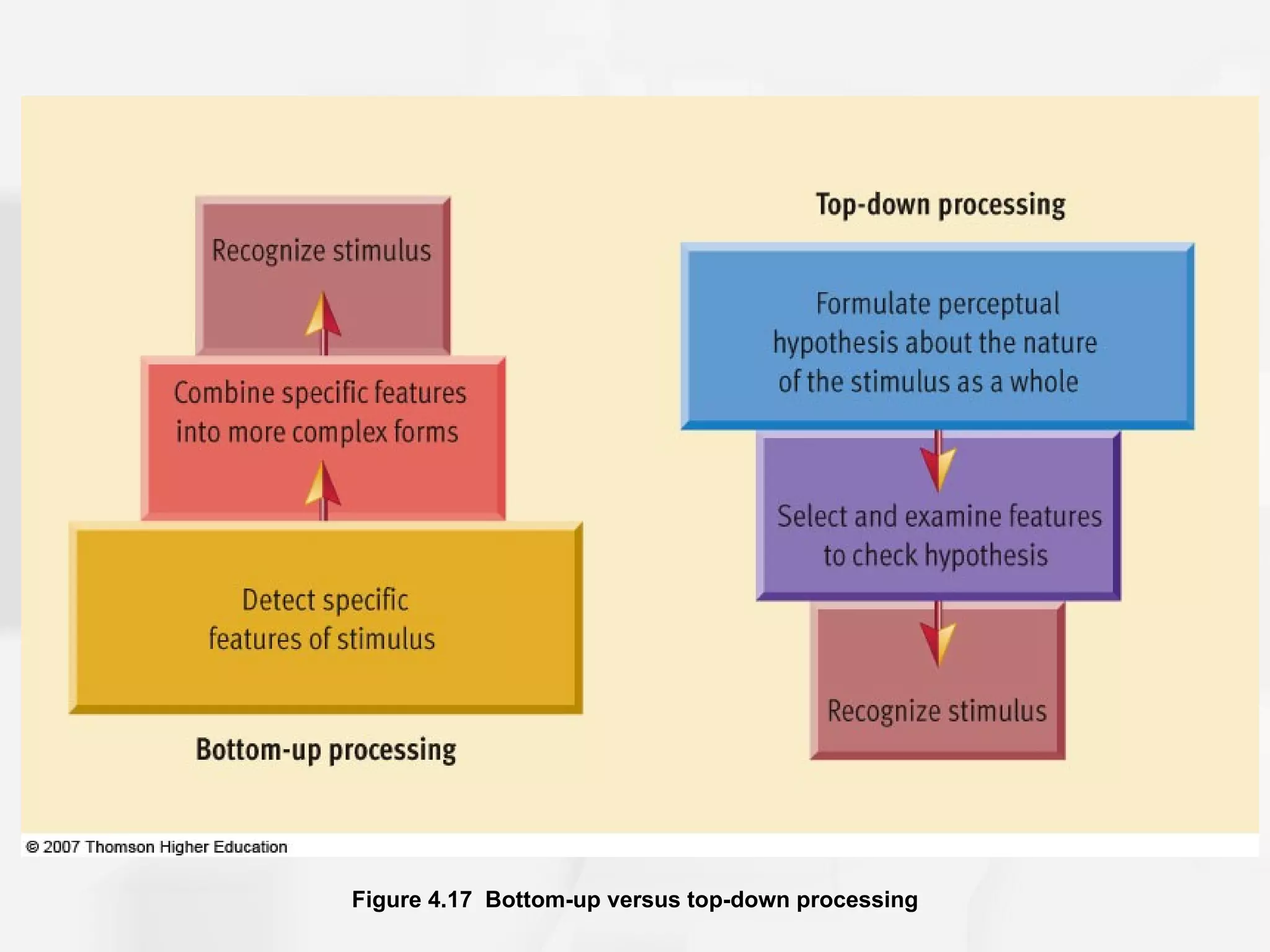 Figure 4.17 Bottom-up versus top-down processing
 