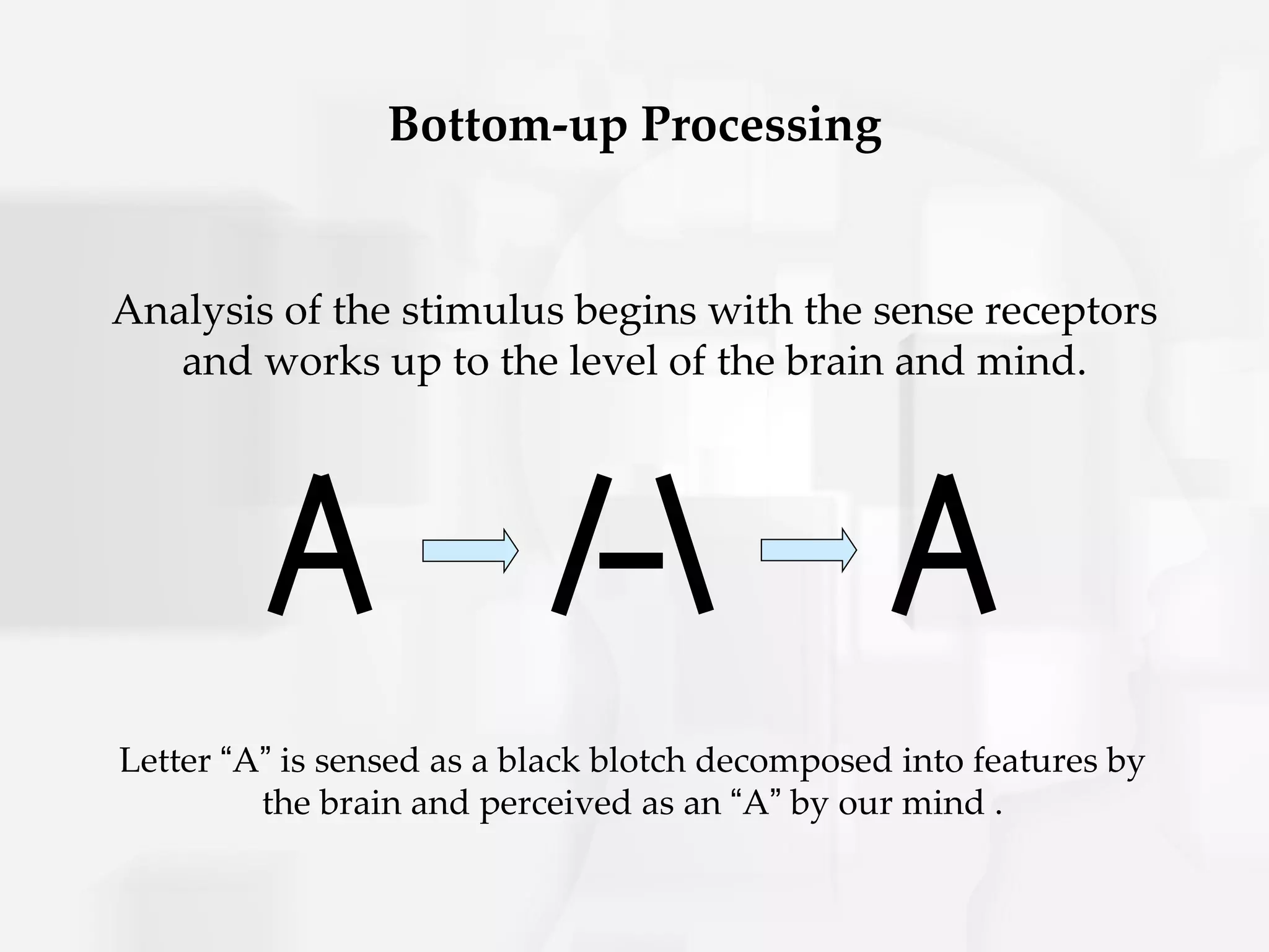 Bottom-up Processing


Analysis of the stimulus begins with the sense receptors
   and works up to the level of the brain and mind.




Letter “A” is sensed as a black blotch decomposed into features by
         the brain and perceived as an “A” by our mind .
 