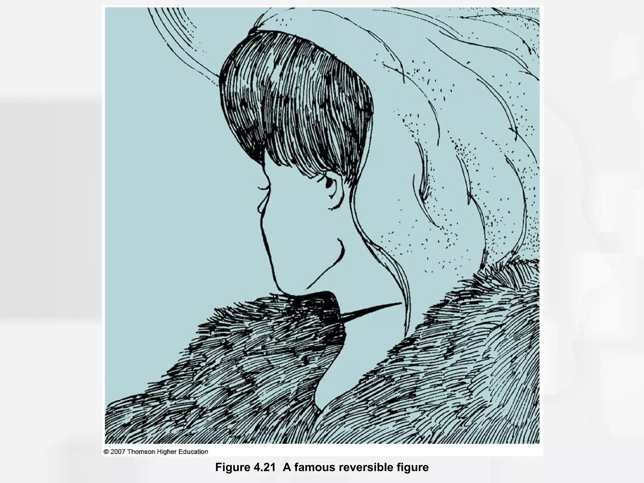 Figure 4.21 A famous reversible figure
 