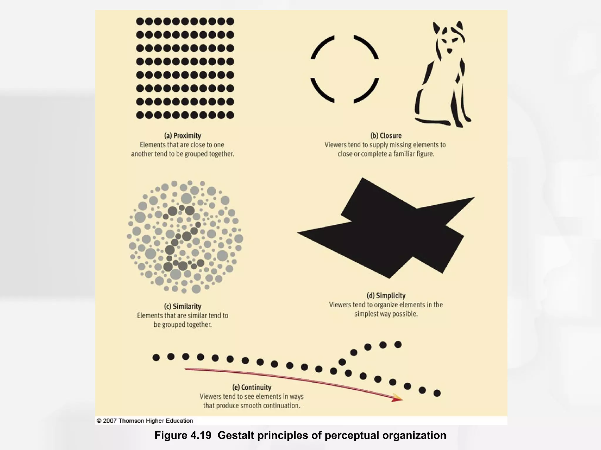 Figure 4.19 Gestalt principles of perceptual organization
 