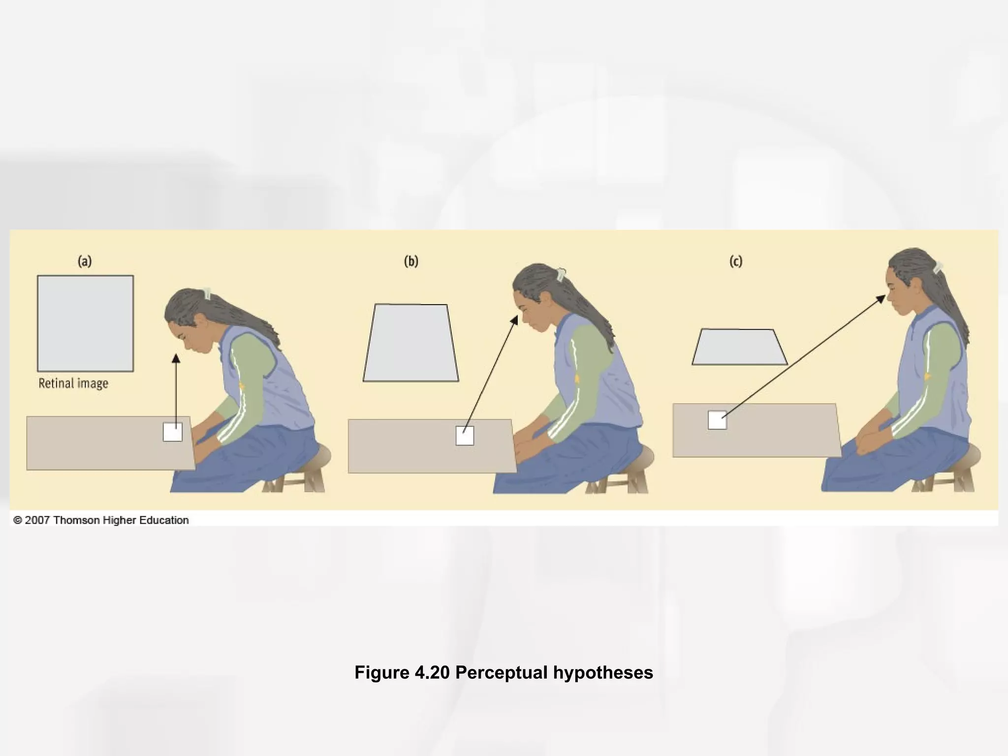 Figure 4.20 Perceptual hypotheses
 