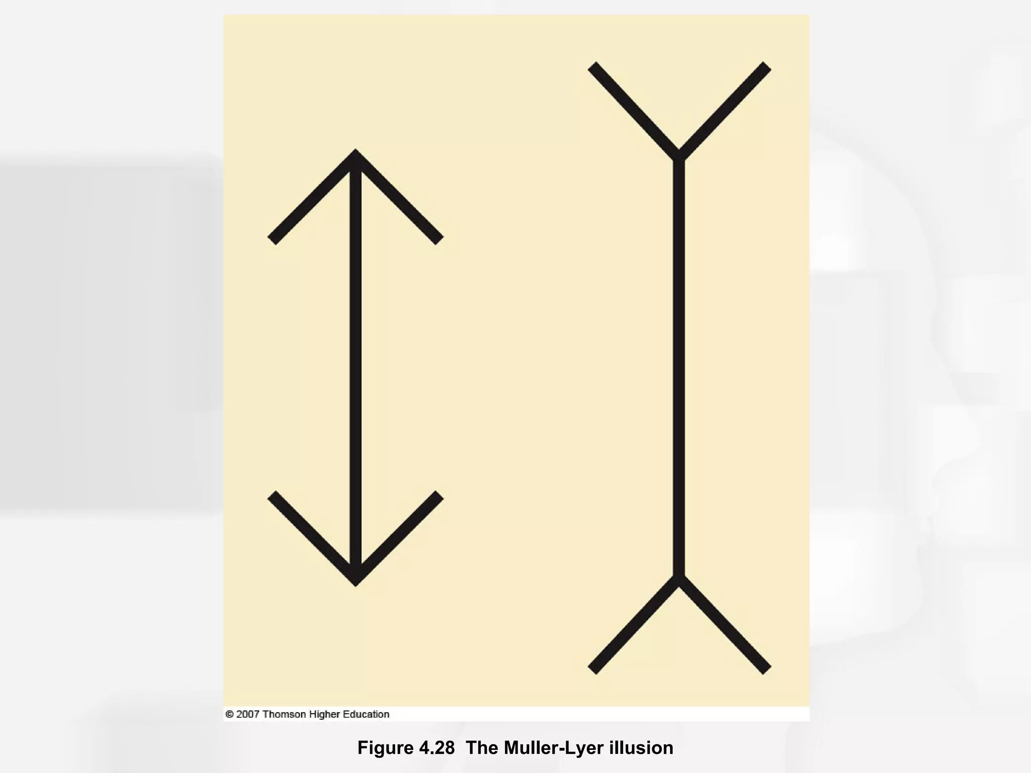 Figure 4.28 The Muller-Lyer illusion
 