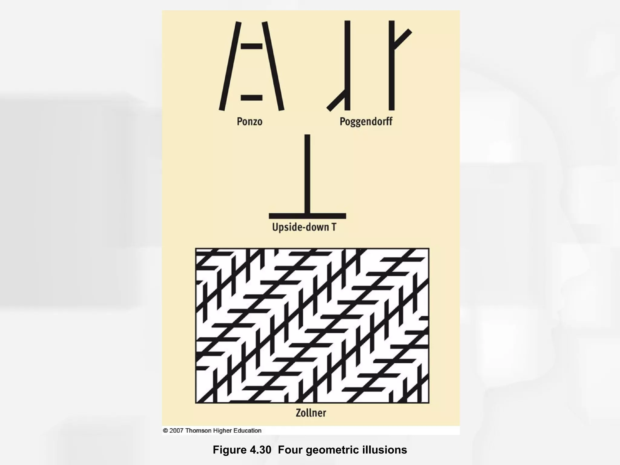 Figure 4.30 Four geometric illusions
 
