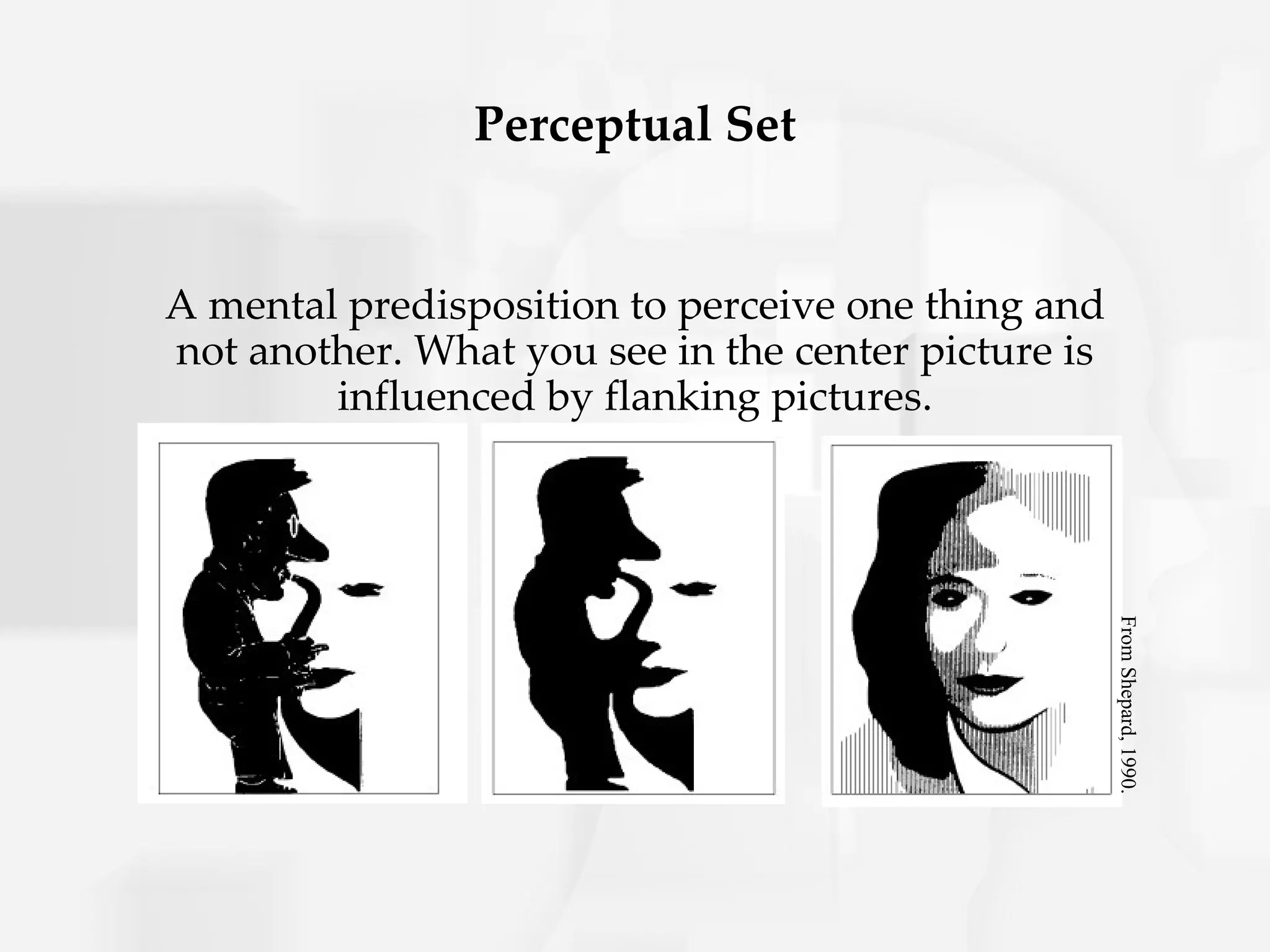 Perceptual Set


A mental predisposition to perceive one thing and
not another. What you see in the center picture is
        influenced by flanking pictures.




                                                     From Shepard, 1990.
 