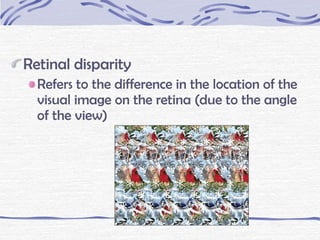 chapter 3 - Sensation and perception 2013 | PPT