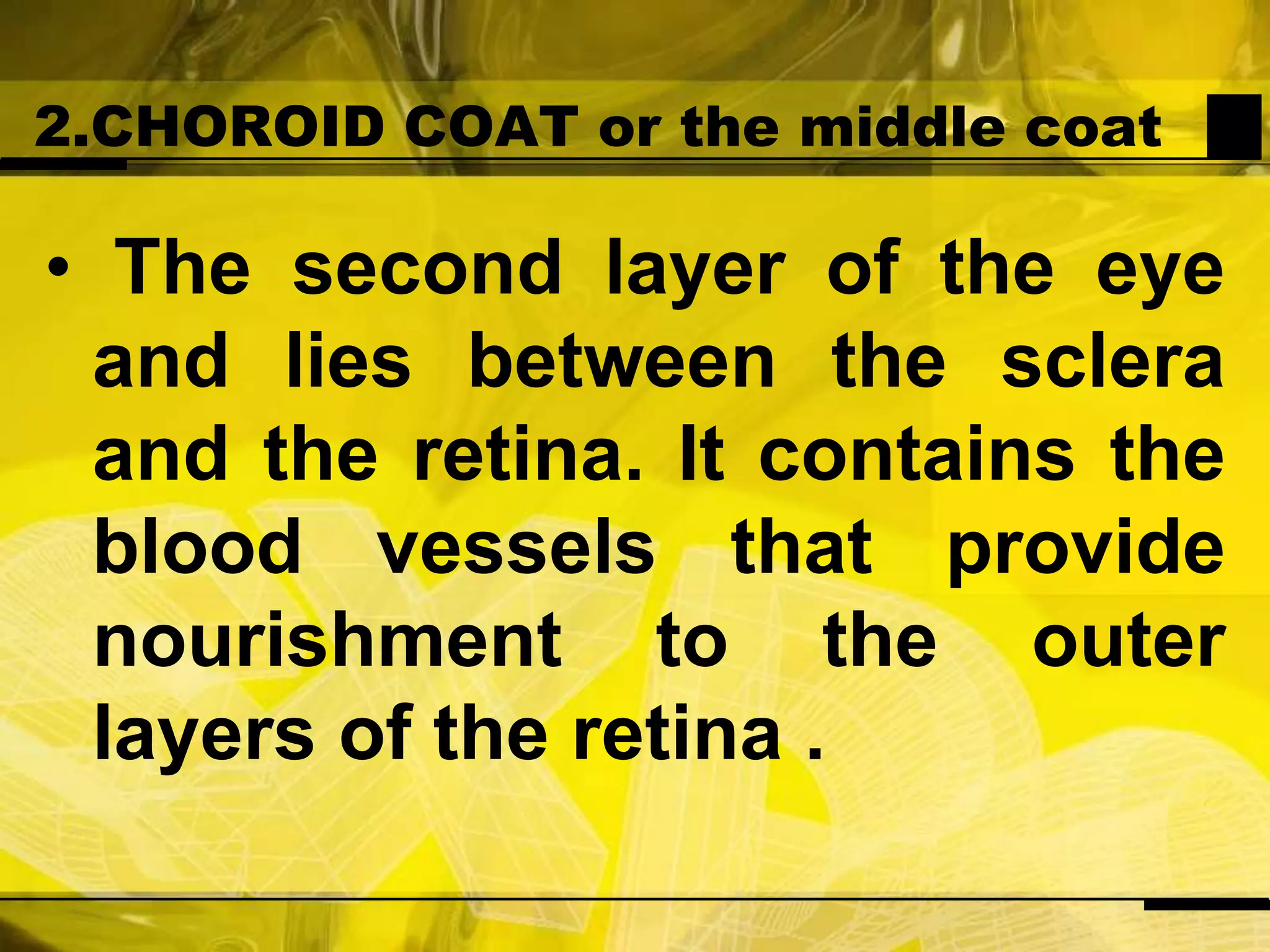 2.CHOROID COAT or the middle coat The second layer of the eye and lies between the sclera and the retina. It contains the blood vessels that provide nourishment to the outer layers of the retina .