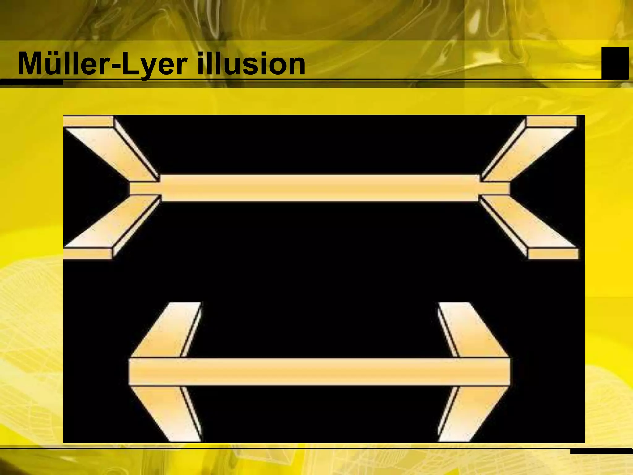 Müller-Lyer illusion