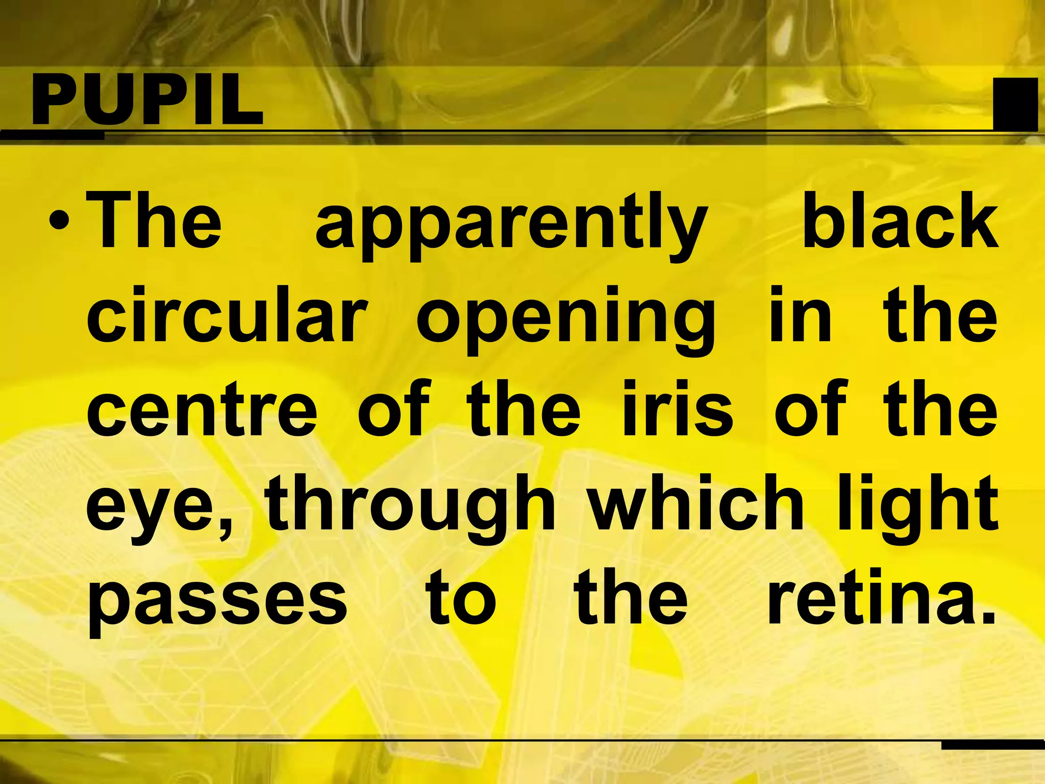 PUPILThe apparently black circular opening in the centre of the iris of the eye, through which light passes to the retina.