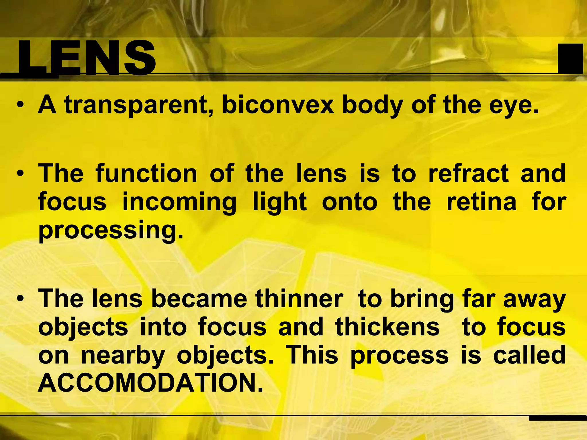 LENSA transparent, biconvex body of the eye.The function of the lens is to refract and focus incoming light onto the retina for processing.The lens became thinner  to bring far away objects into focus and thickens  to focus on nearby objects. This process is called ACCOMODATION.