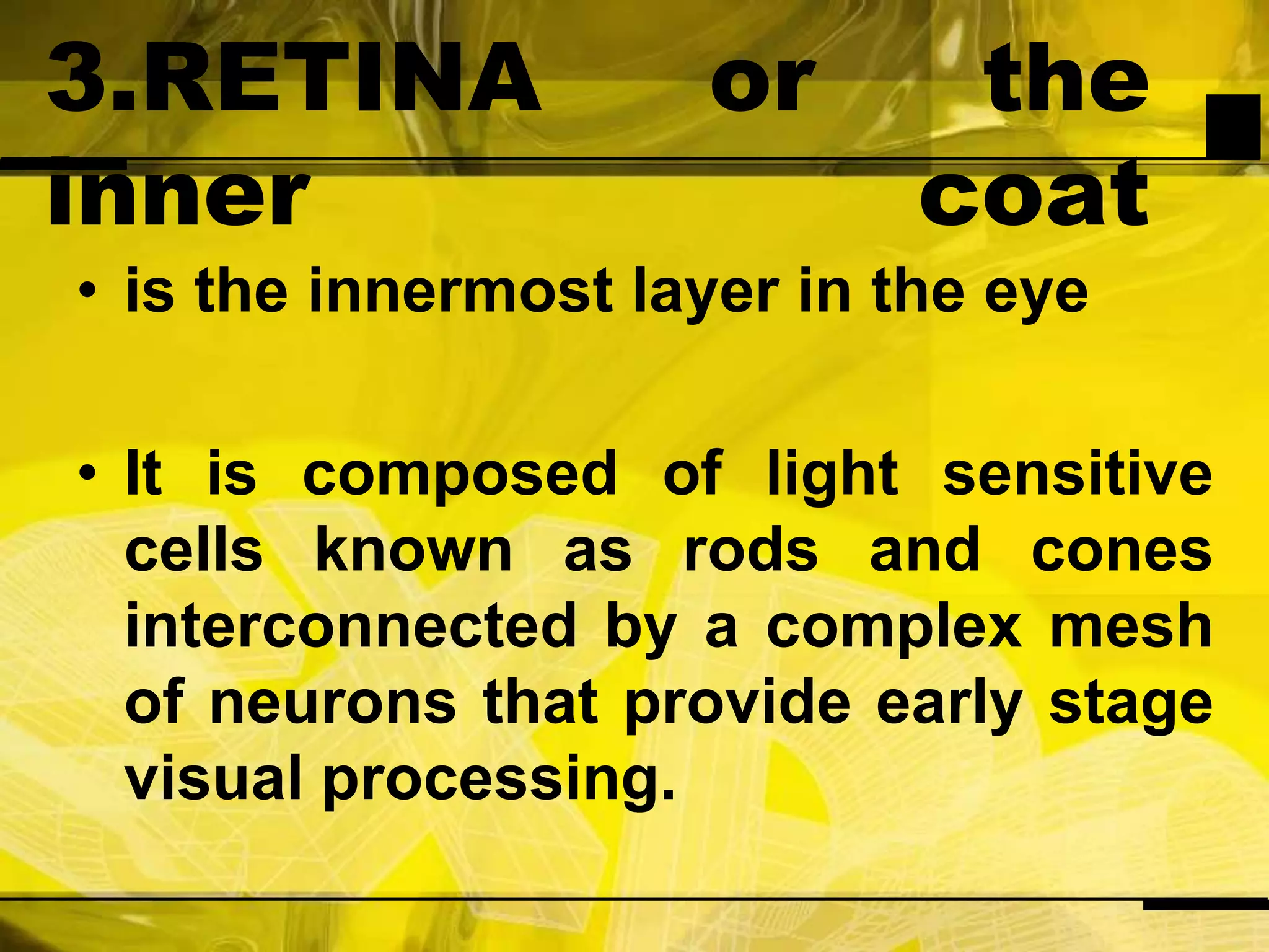 3.RETINA or the inner coatis the innermost layer in the eyeIt is composed of light sensitive cells known as rods and cones interconnected by a complex mesh of neurons that provide early stage visual processing.