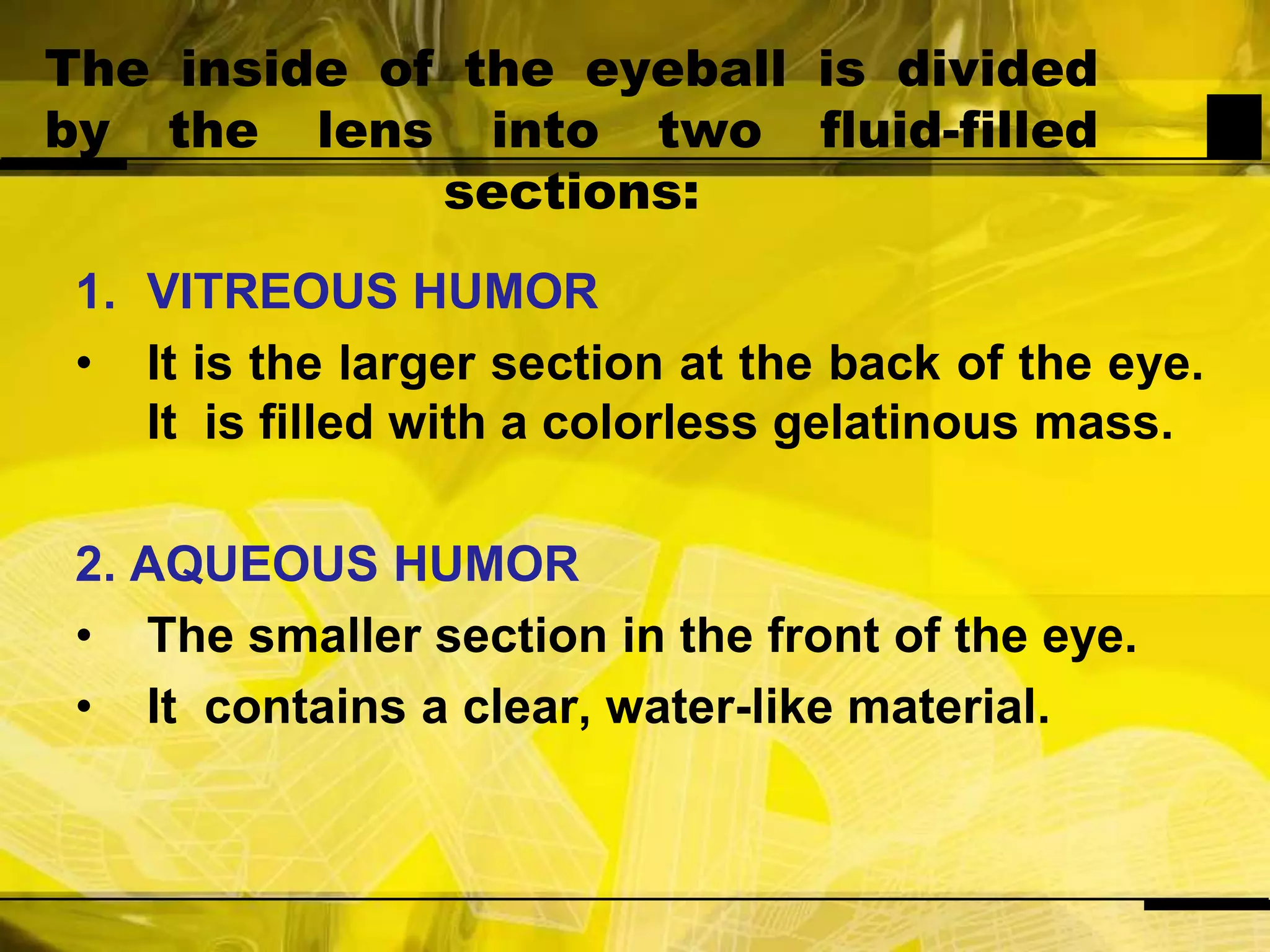 The inside of the eyeball is divided by the lens into two fluid-filled sections:VITREOUS HUMORIt is the larger section at the back of the eye. It  is filled with a colorless gelatinous mass.2. AQUEOUS HUMORThe smaller section in the front of the eye.It  contains a clear, water-like material.
