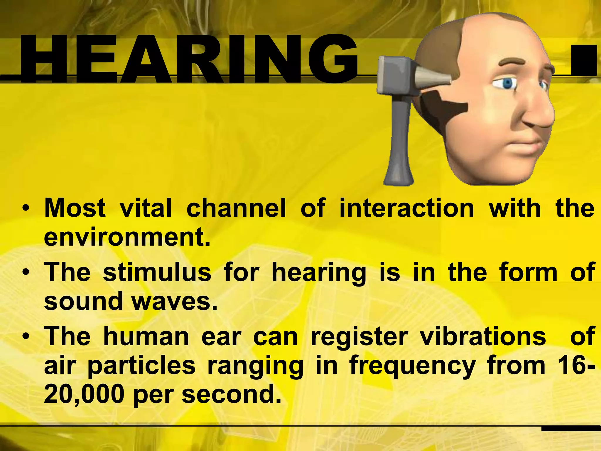 HEARINGMost vital channel of interaction with the environment.The stimulus for hearing is in the form of sound waves.The human ear can register vibrations  of air particles ranging in frequency from 16-20,000 per second.