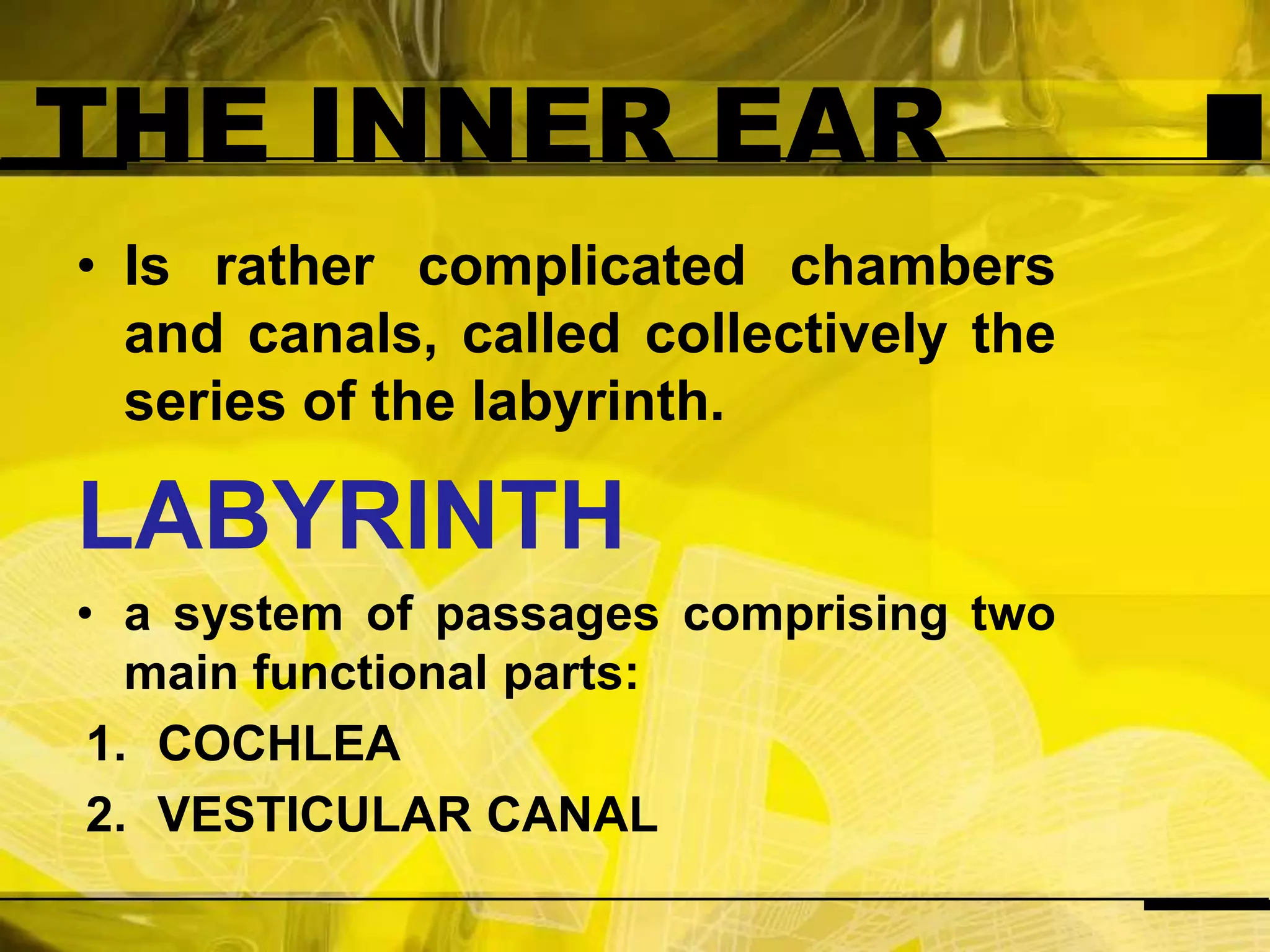 THE INNER EARIs rather complicated chambers and canals, called collectively the series of the labyrinth.LABYRINTHa system of passages comprising two main functional parts:COCHLEAVESTICULAR CANAL