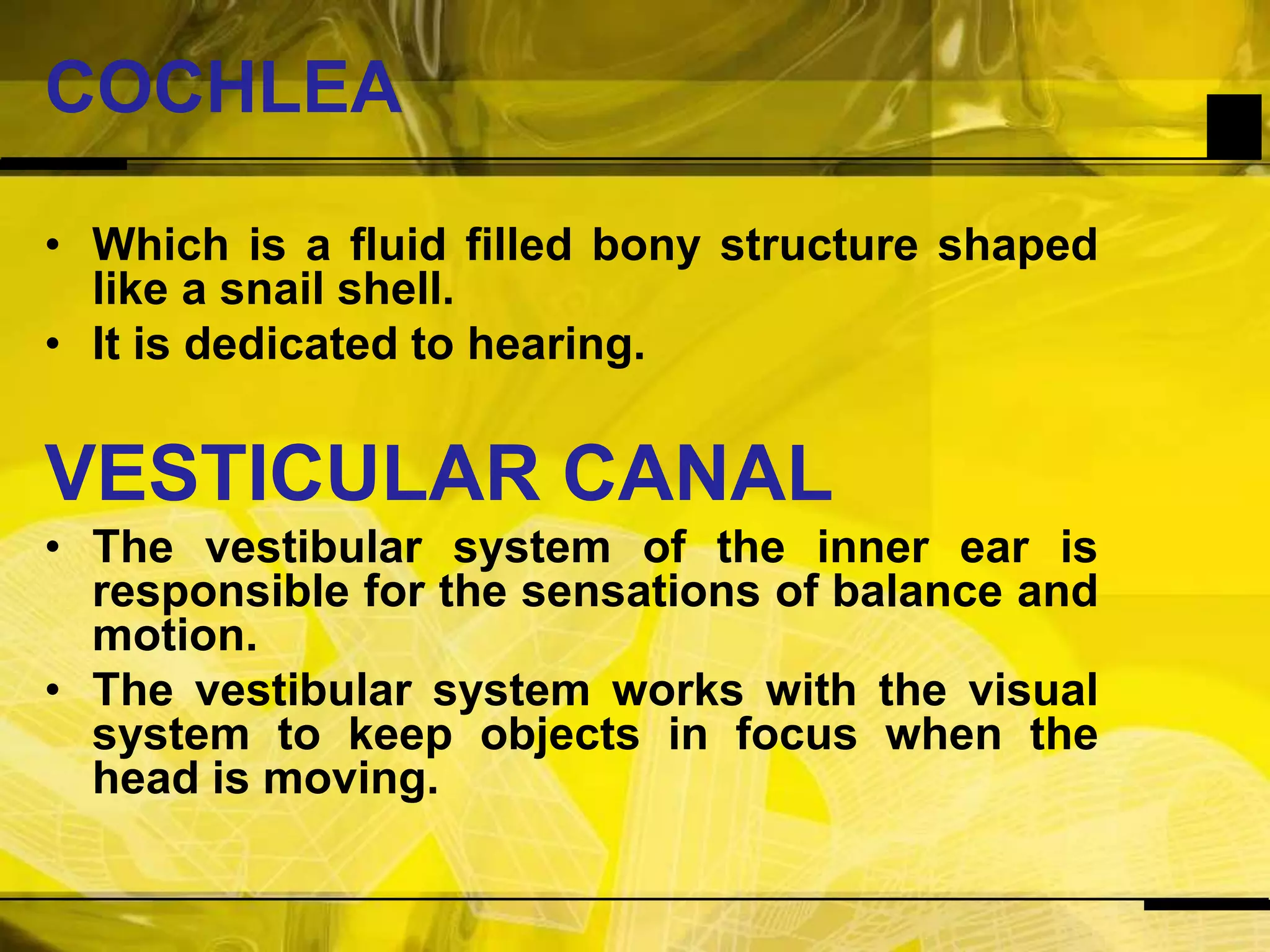 COCHLEAWhich is a fluid filled bony structure shaped like a snail shell.It is dedicated to hearing.VESTICULAR CANALThe vestibular system of the inner ear is responsible for the sensations of balance and motion.The vestibular system works with the visual system to keep objects in focus when the head is moving.