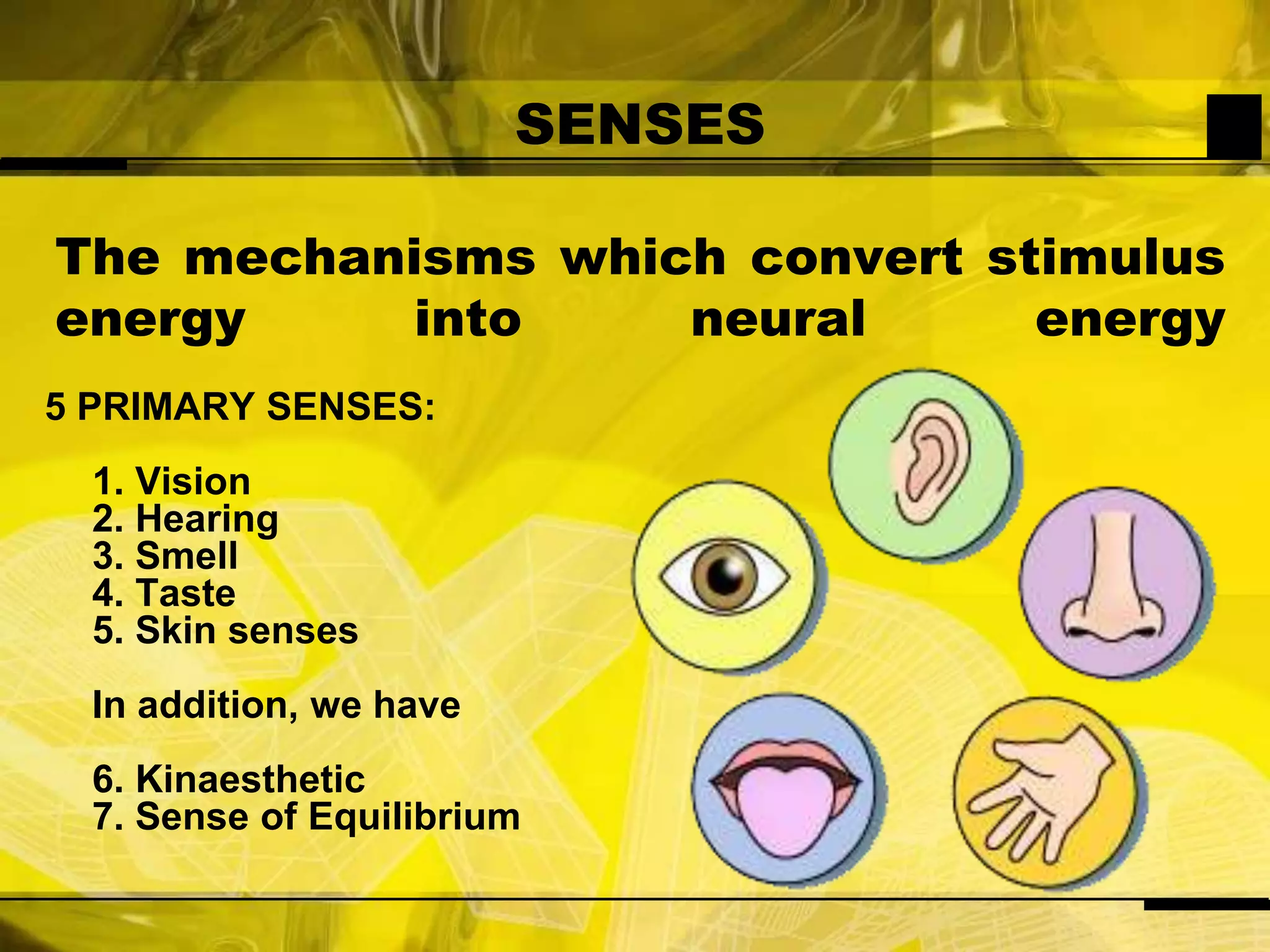 SENSESThe mechanisms which convert stimulus energy into neural energy5 PRIMARY SENSES:1. Vision2. Hearing3. Smell4. Taste5. Skin sensesIn addition, we have6. Kinaesthetic7. Sense of Equilibrium