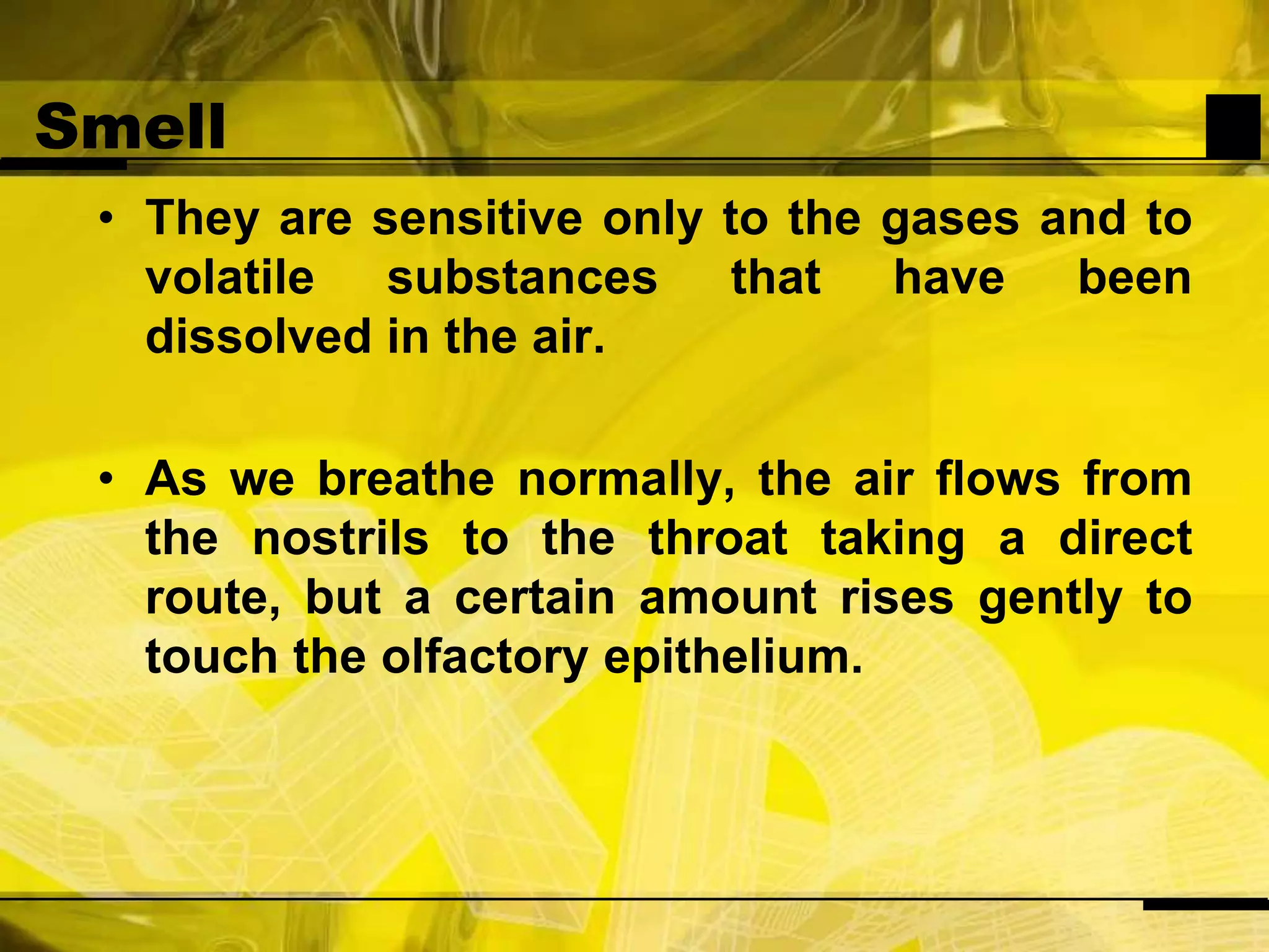 SmellThey are sensitive only to the gases and to volatile substances that have been dissolved in the air. As we breathe normally, the air flows from the nostrils to the throat taking a direct route, but a certain amount rises gently to touch the olfactory epithelium. 