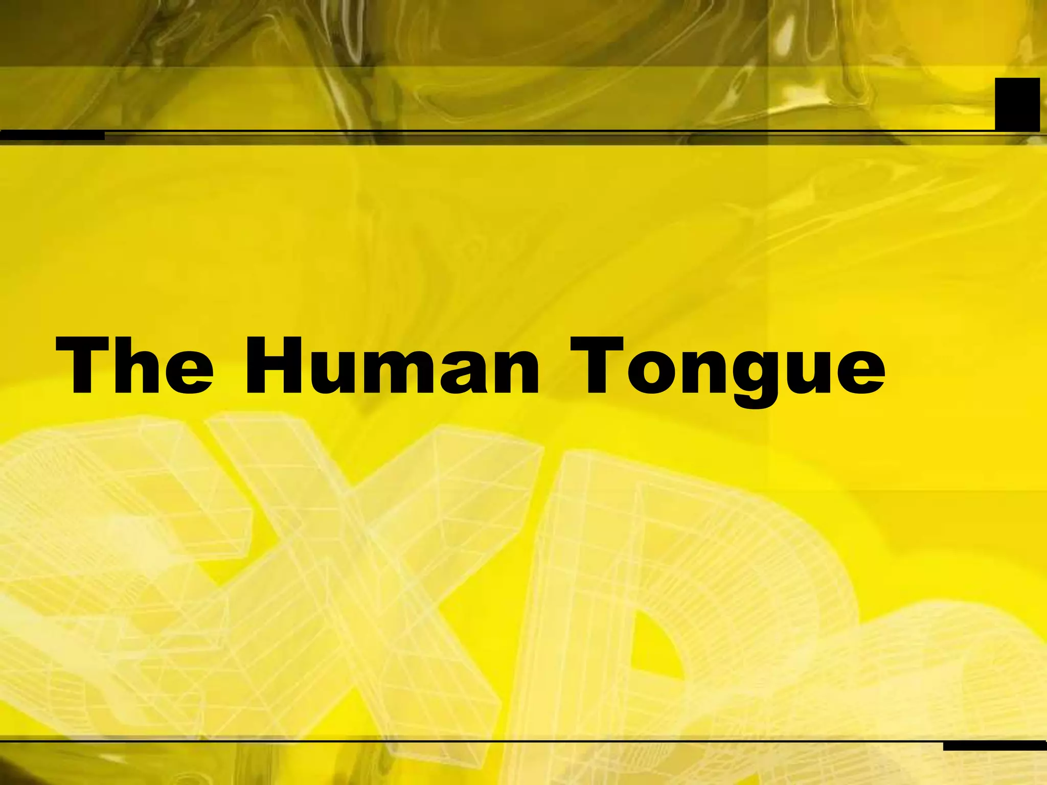 The Human Tongue 
