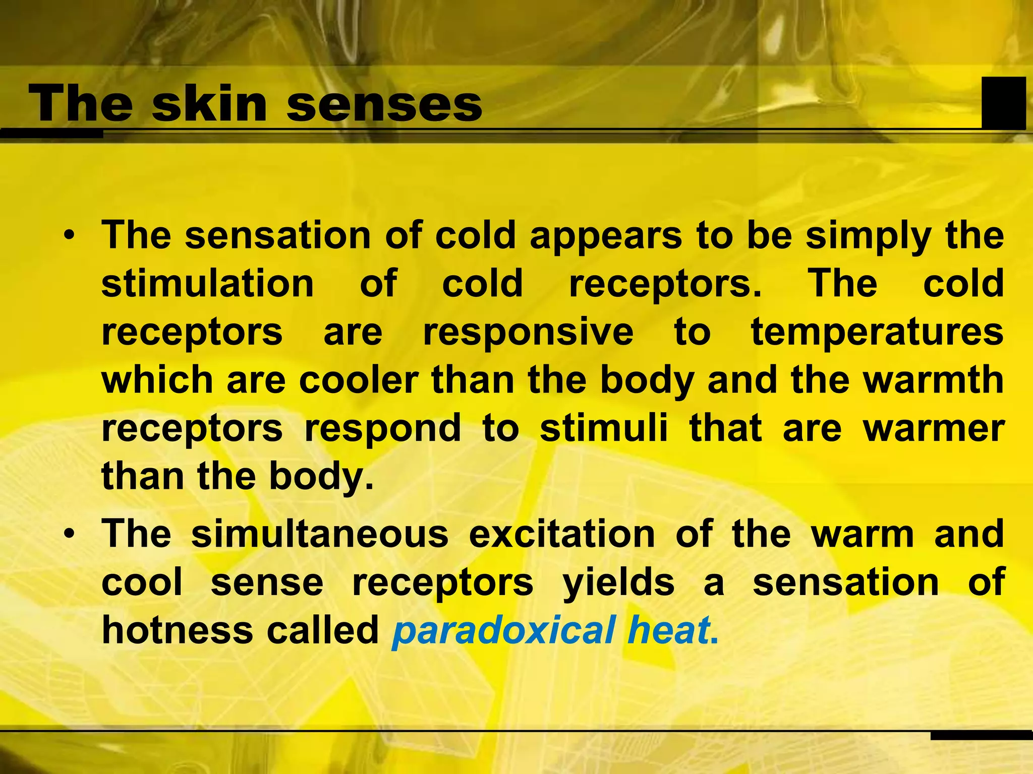 The skin sensesThe sensation of cold appears to be simply the stimulation of cold receptors. The cold receptors are responsive to temperatures which are cooler than the body and the warmth receptors respond to stimuli that are warmer than the body. The simultaneous excitation of the warm and cool sense receptors yields a sensation of hotness called paradoxical heat.
