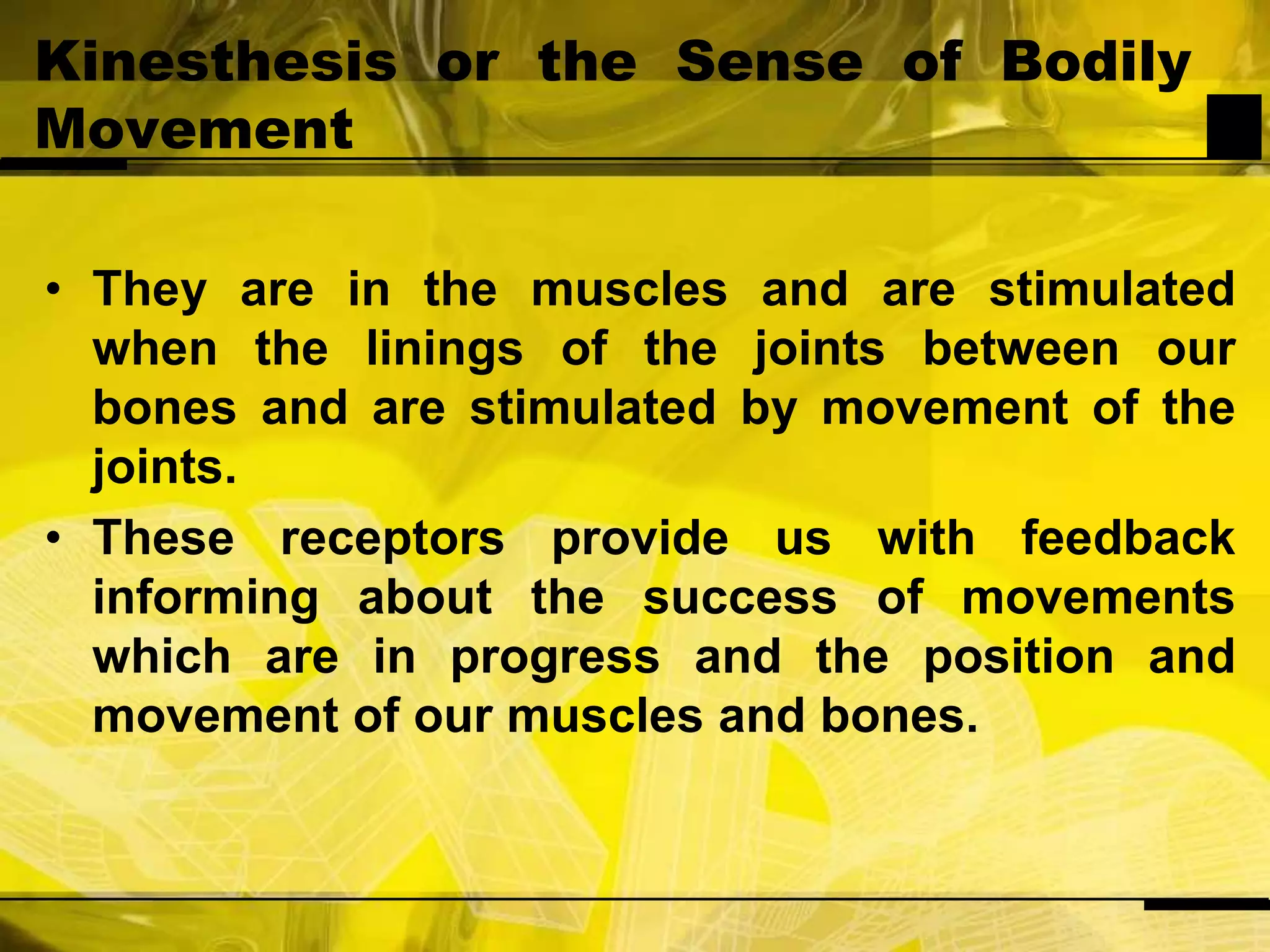 Kinesthesis or the Sense of Bodily MovementThey are in the muscles and are stimulated when the linings of the joints between our bones and are stimulated by movement of the joints.These receptors provide us with feedback informing about the success of movements which are in progress and the position and movement of our muscles and bones.
