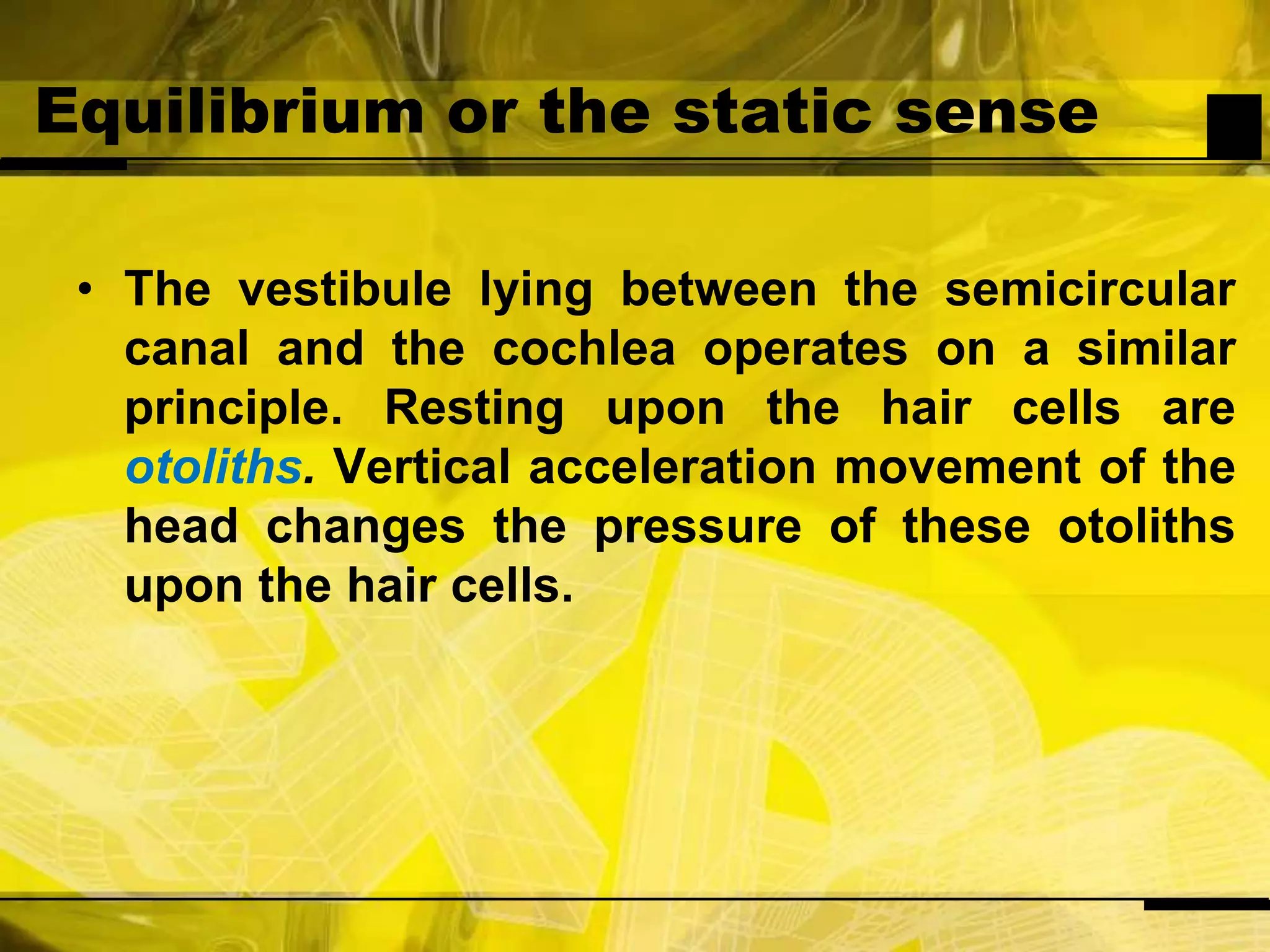 Equilibrium or the static senseThe vestibule lying between the semicircular canal and the cochlea operates on a similar principle. Resting upon the hair cells are otoliths. Vertical acceleration movement of the head changes the pressure of these otoliths upon the hair cells.