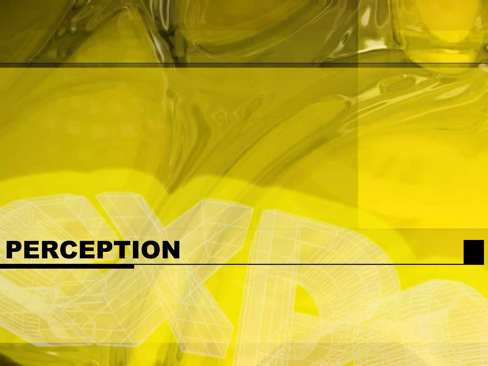PERCEPTION