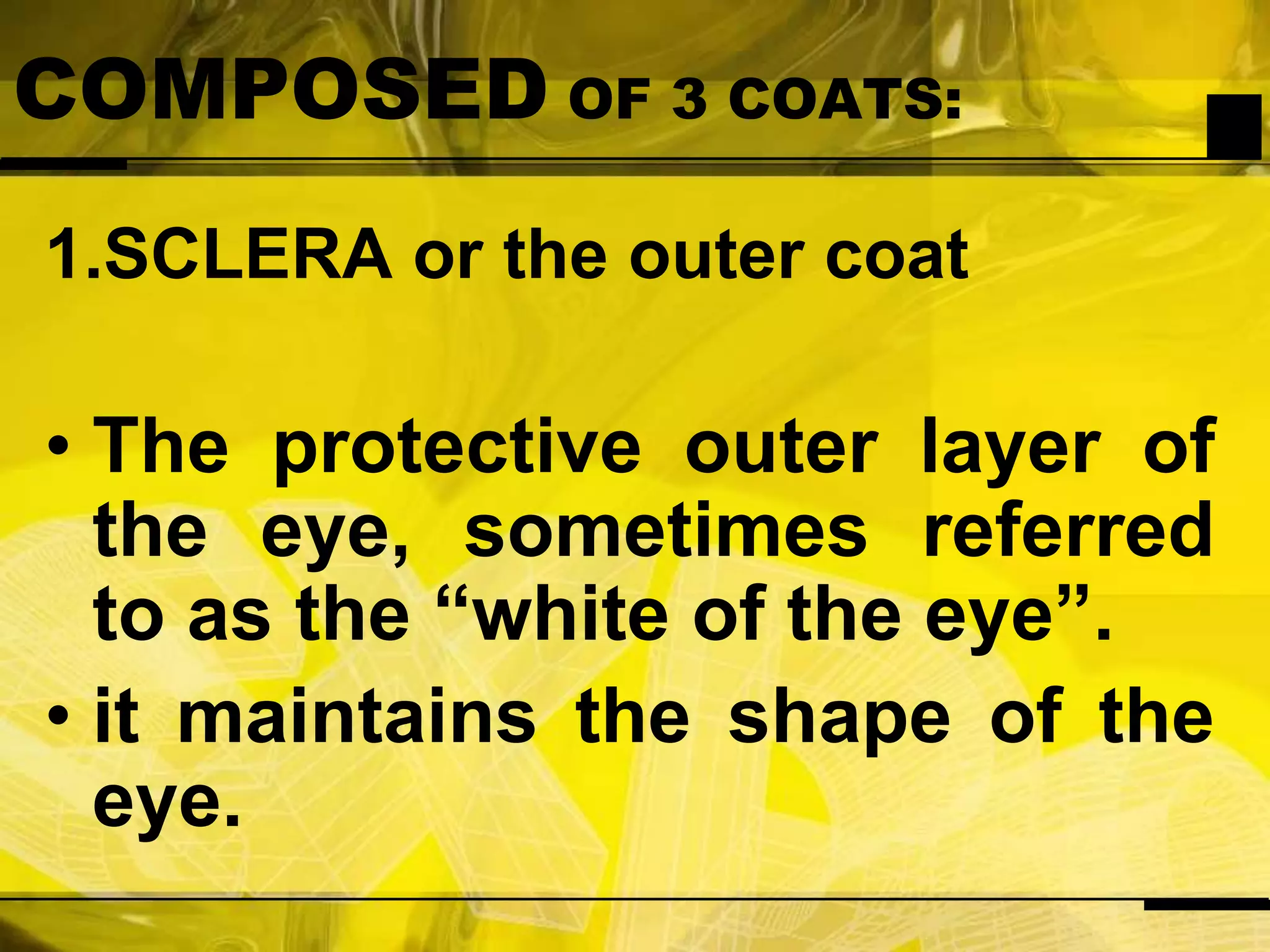 COMPOSED OF 3 COATS:1.SCLERA or the outer coatThe protective outer layer of the eye, sometimes referred to as the “white of the eye”.it maintains the shape of the eye.