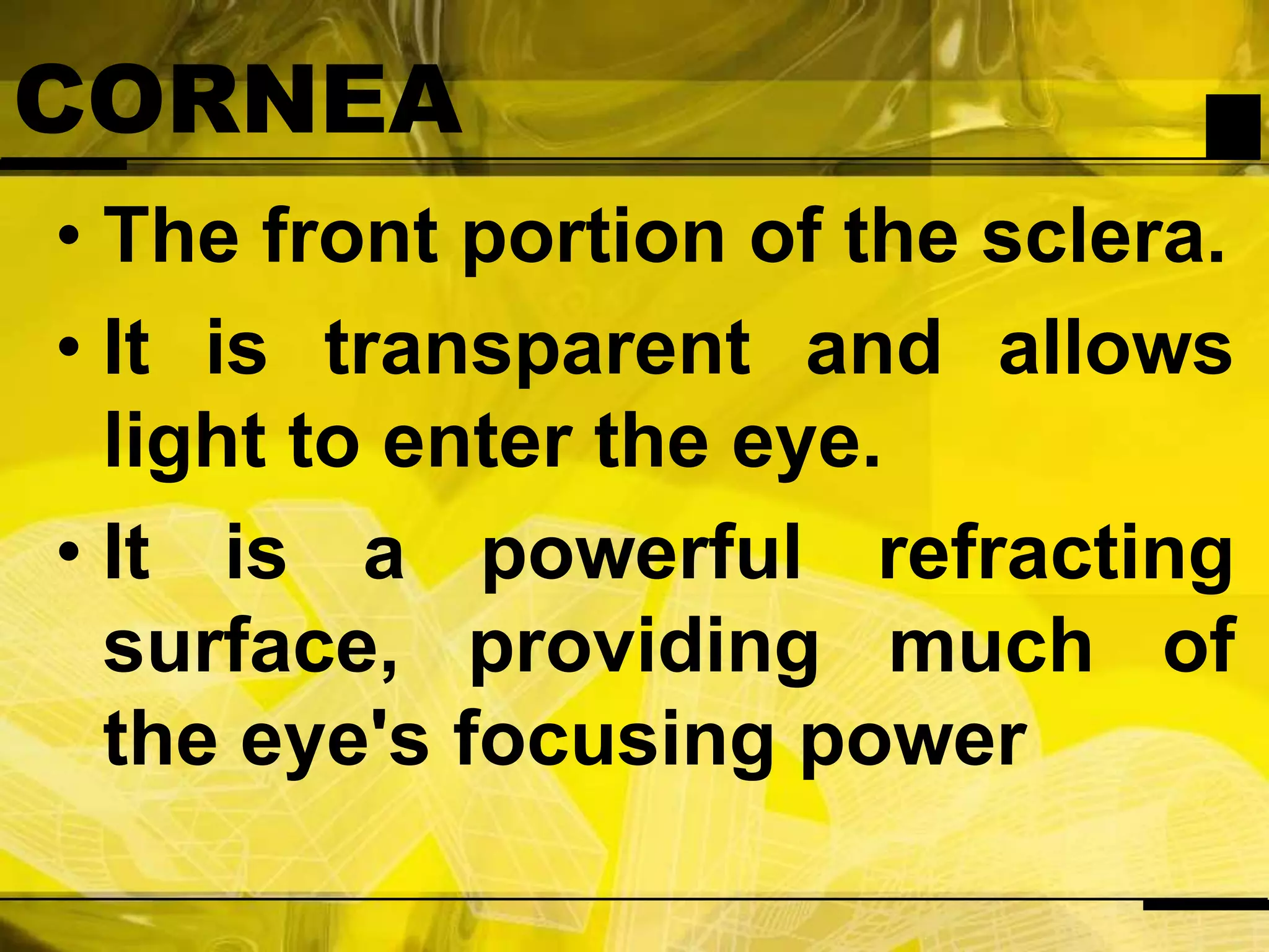 CORNEAThe front portion of the sclera.It is transparent and allows light to enter the eye.It is a powerful refracting surface, providing much of the eye's focusing power