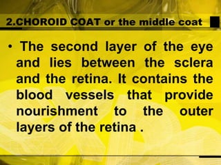 2.CHOROID COAT or the middle coat The second layer of the eye and lies between the sclera and the retina. It contains the blood vessels that provide nourishment to the outer layers of the retina .