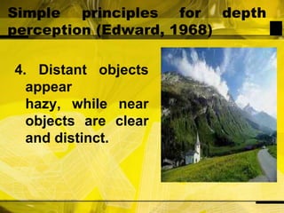 Simple principles for depth perception (Edward, 1968)4. Distant objects appear hazy, while near objects are clear and distinct.