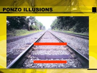 PONZO ILLUSIONS