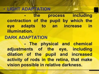 LIGHT ADAPTATION                  - the process including contraction of the pupil by which the eye adapts to an increase in illumination.DARK ADAPTATION                 - The physical and chemical adjustments of the eye, including dilation of the pupil and increased activity of rods in the retina, that make vision possible in relative darkness.