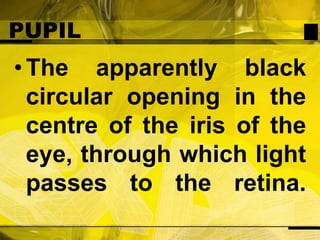 PUPILThe apparently black circular opening in the centre of the iris of the eye, through which light passes to the retina.